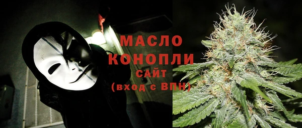 тгк Богородицк