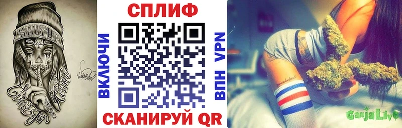 Бошки марихуана планчик  МЕГА рабочий сайт  Выборг 